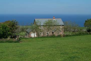 Curly Cottage