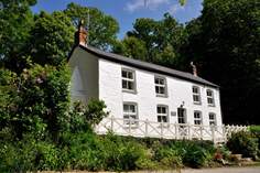 Rose in Vale Cottage