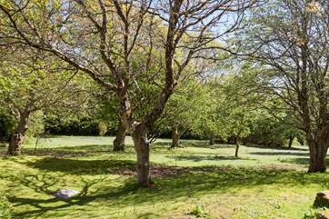 The grounds are peaceful, welcoming and full of bird life, whatever the season.