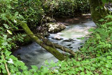 The stream which runs along the bottom of the grounds.