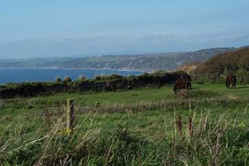 Looking west from Rame Head.