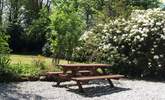 The garden is a lovely place to relax and enjoy meals in the sunshine. - Thumbnail Image