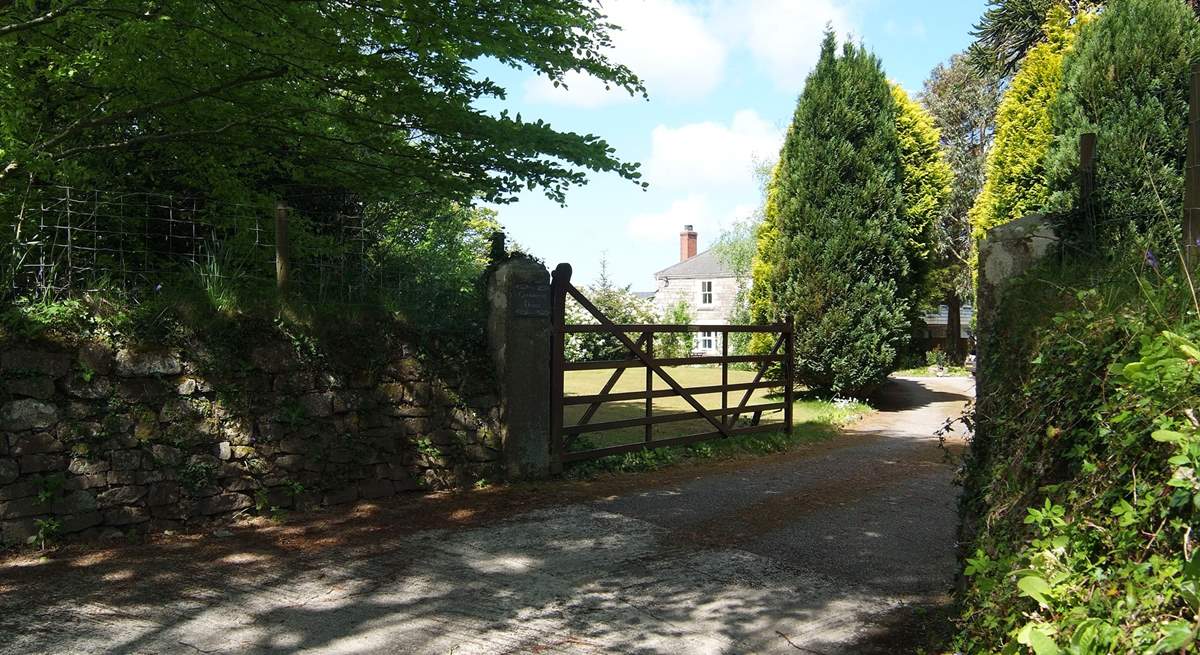 The entrance driveway.