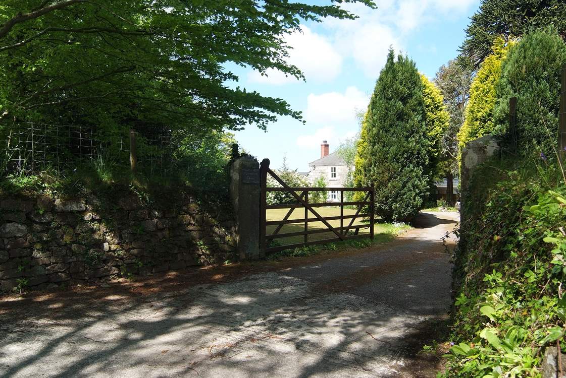 The entrance driveway.