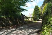 The entrance driveway.