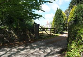 The entrance driveway.