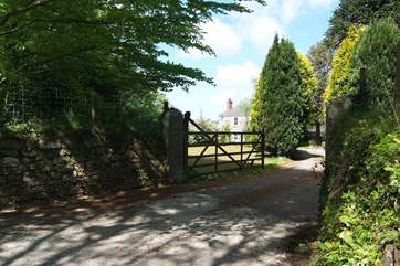 The entrance driveway.