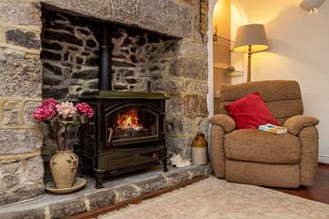 Another cosy spot in front of the electric fire.
