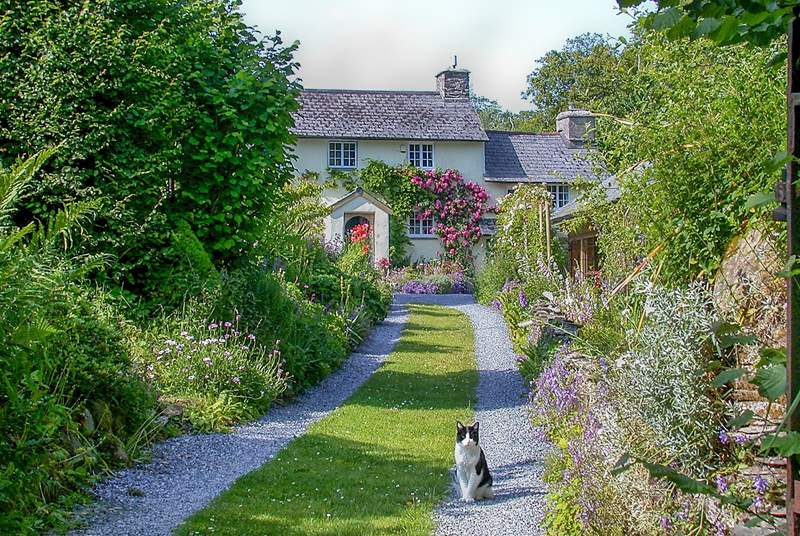 The approach to the cottage.