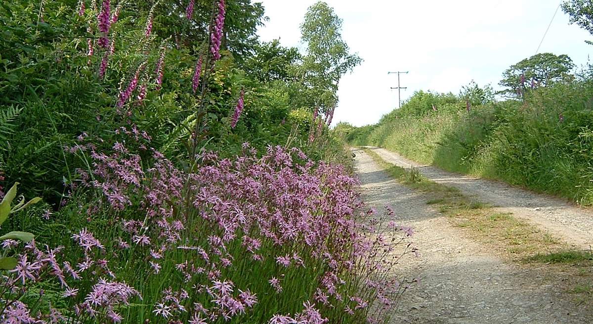 Part of the track which approaches the cottage.