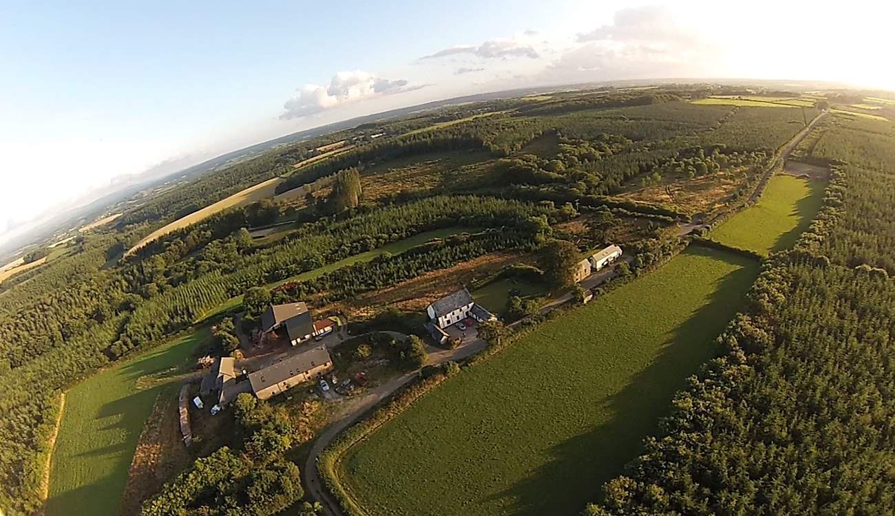 Grascott Forest grounds.