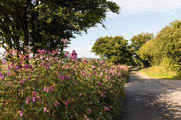 Visit Hartlands, a beautiful part of north Devon.