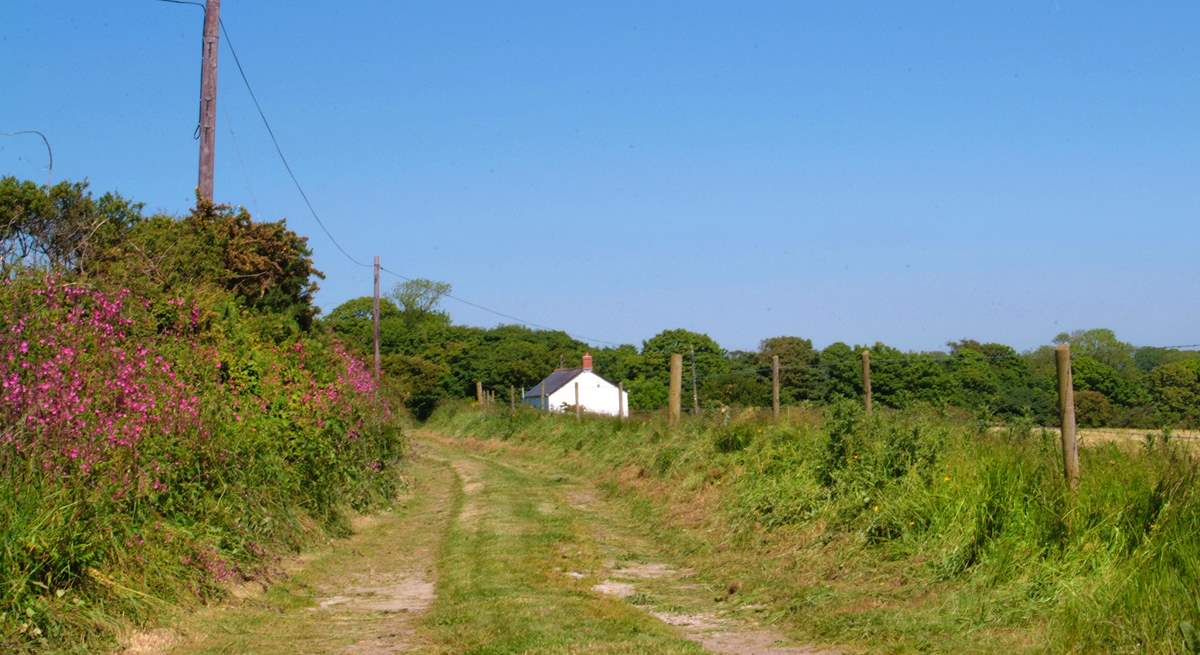 Yellow Blossom Cottage is at the end of an unmade track.