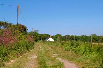 Yellow Blossom Cottage is at the end of a track