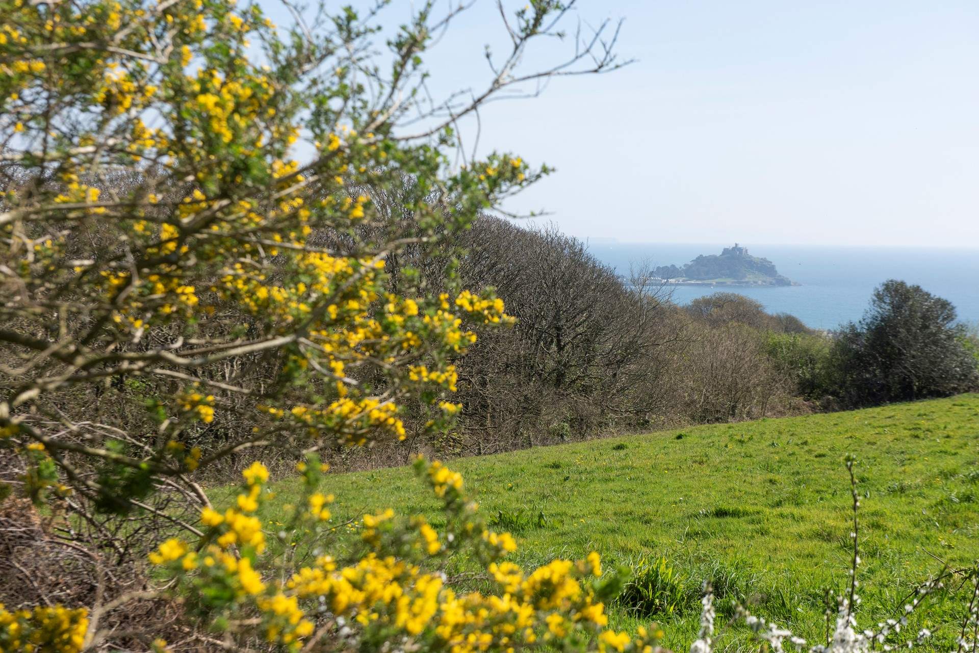 Glorious walks straight from the front door, enjoying the views all the way.