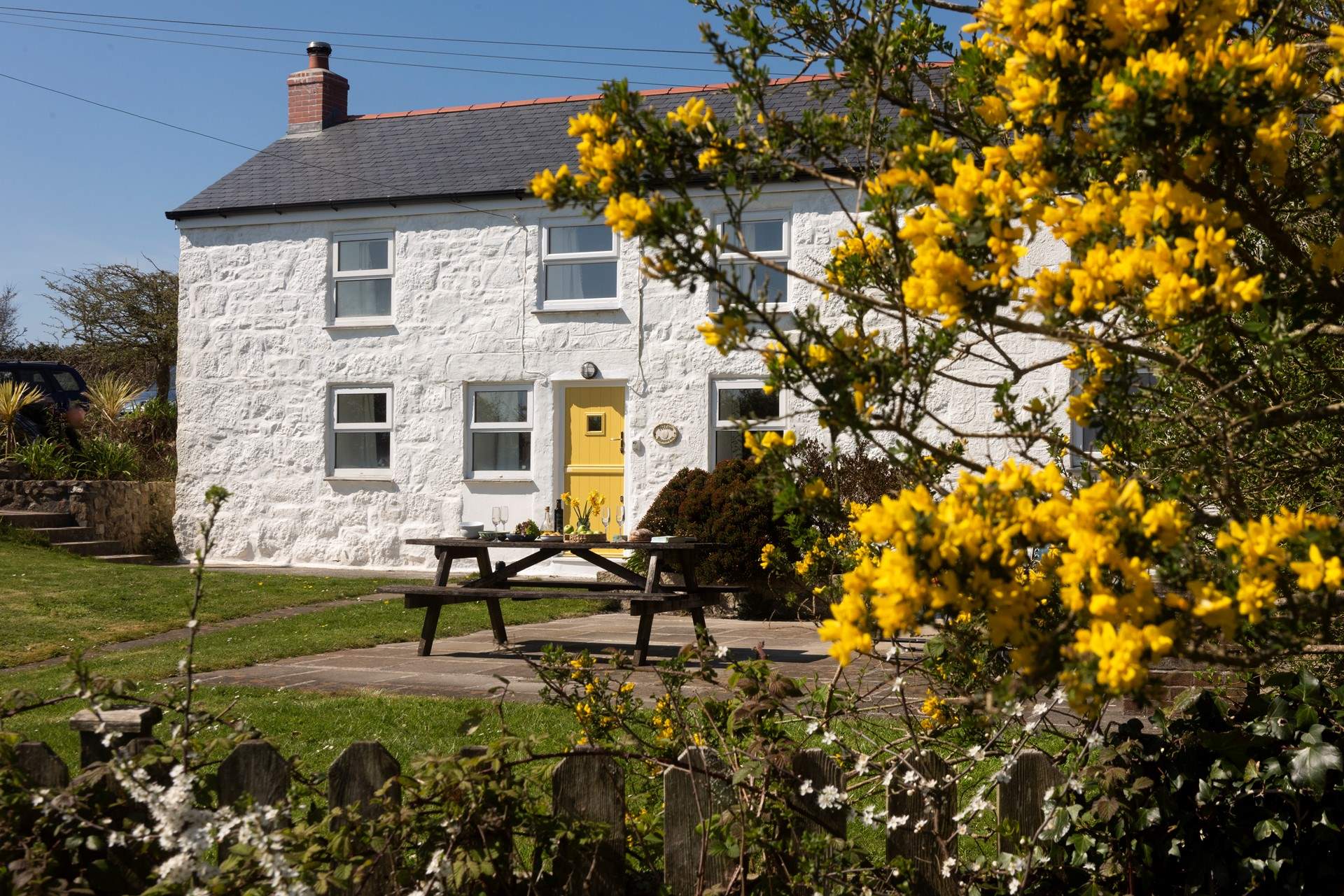 Welcome to Yellow Blossom Cottage.