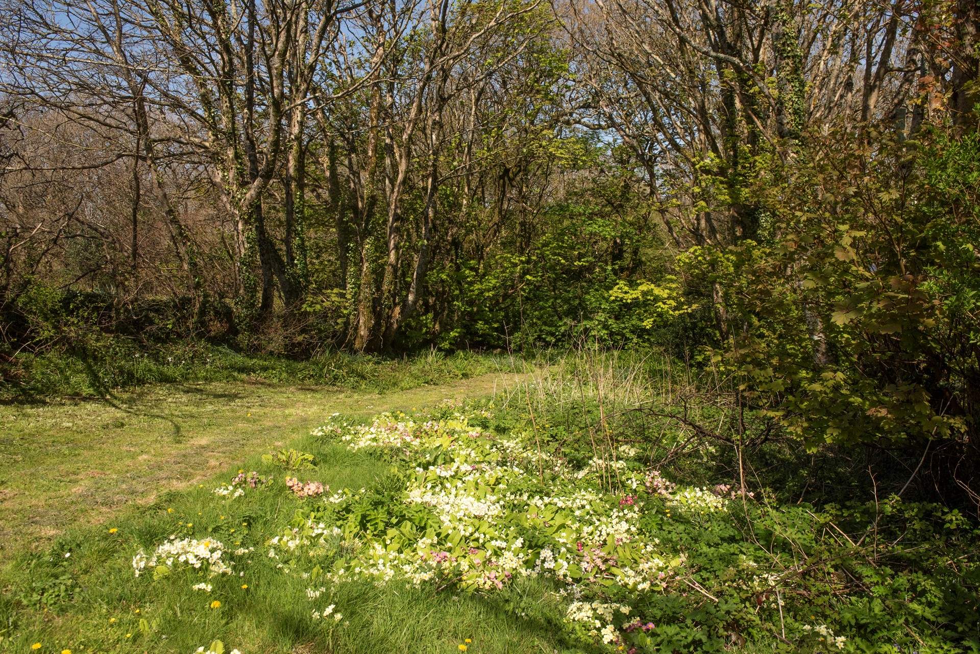 You are surrounded by beautiful countryside.