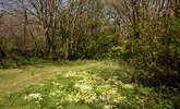 You are surrounded by beautiful countryside. - Thumbnail Image