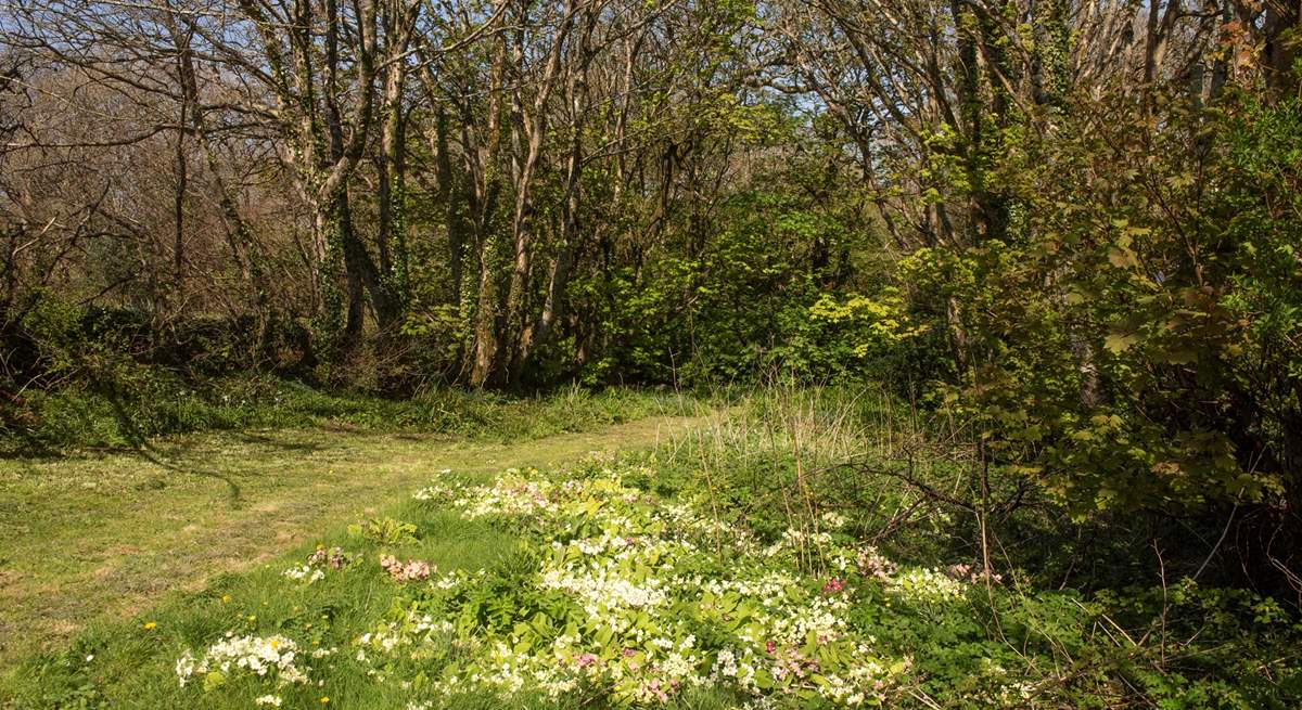 You are surrounded by beautiful countryside.