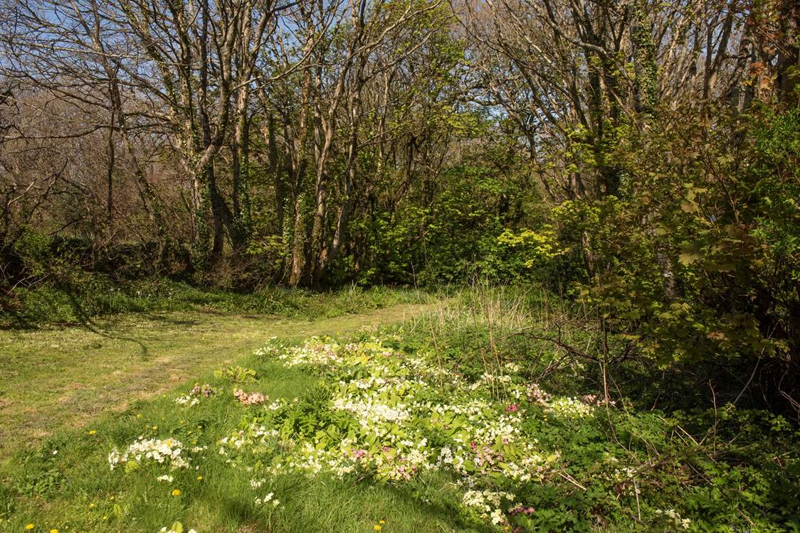You are surrounded by beautiful countryside.