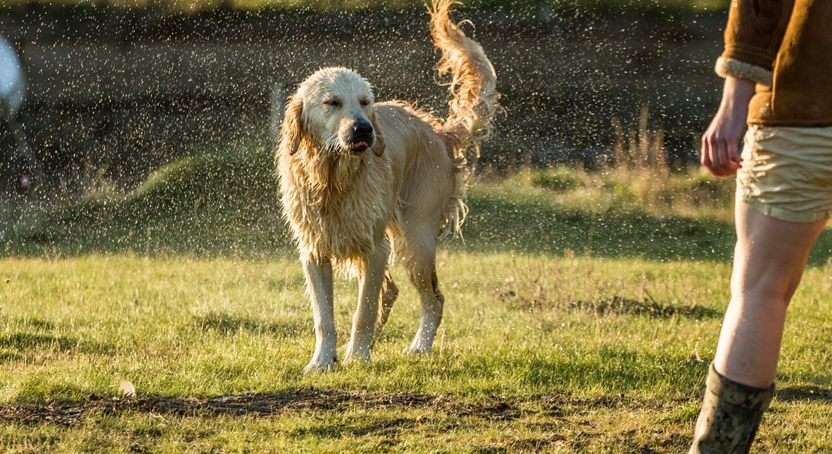 Your canine companion is welcome to stay at Yellow Blossom Cottage.