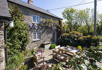Looking back at the pretty courtyard garden.