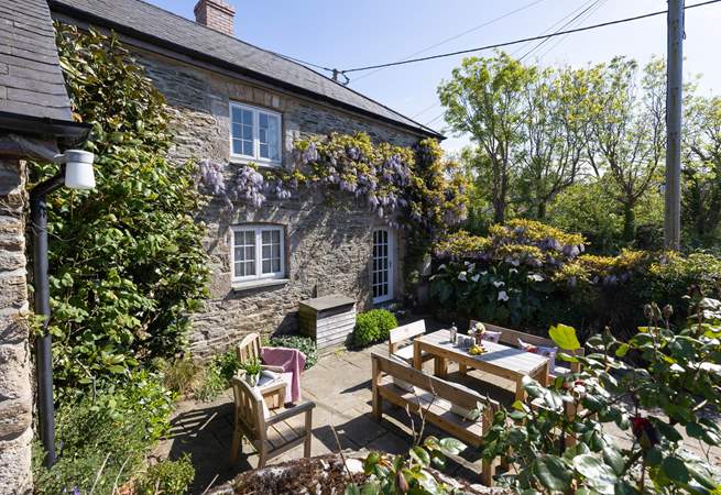 Looking back at the pretty courtyard garden.