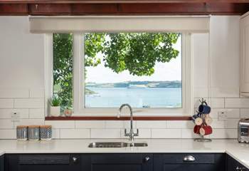 What an outlook from the kitchen window. 