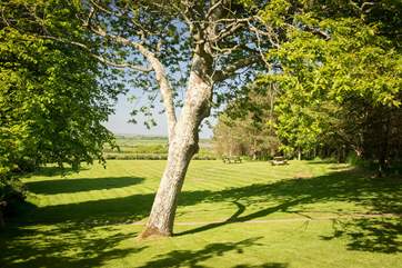 The beautiful paddock overlooks the countryside beyond.