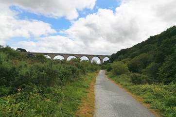 Bissoe Cycle trail is perfect to explore.