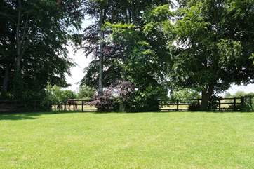 The lovely enclosed garden in the summer, ideal for your four-legged friend.