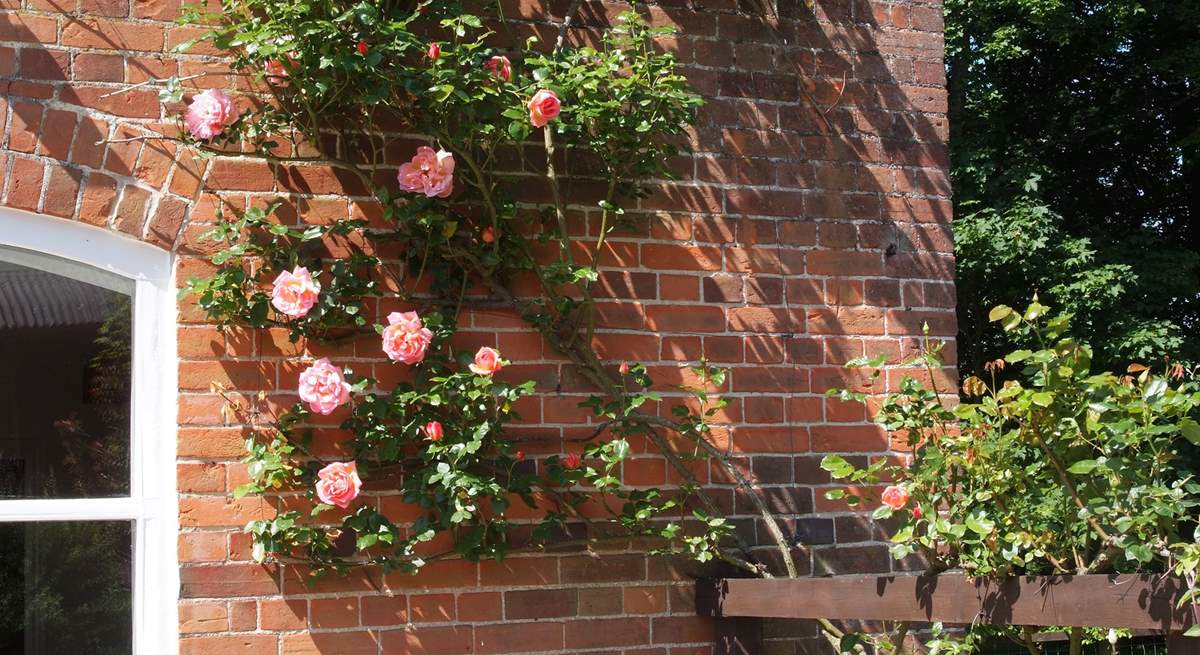 A lovely detail as you walk around to the front door of the cottage.