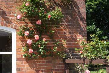 A lovely detail as you walk around to the front door of the cottage.