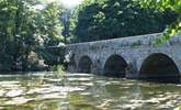 The bridge over the River Stour at Blandford Forum - lovely riverside park and walks. - Thumbnail Image