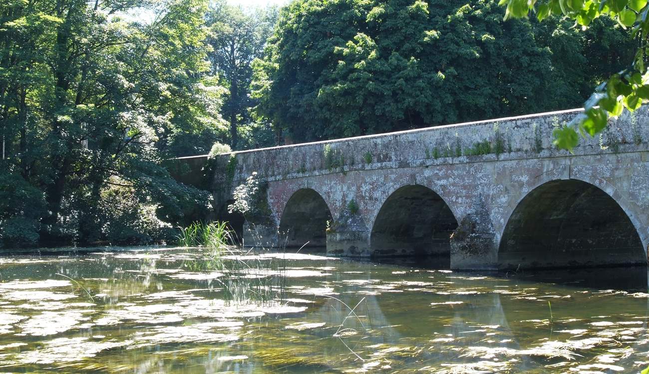 The bridge over the River Stour at Blandford Forum - lovely riverside park and walks.