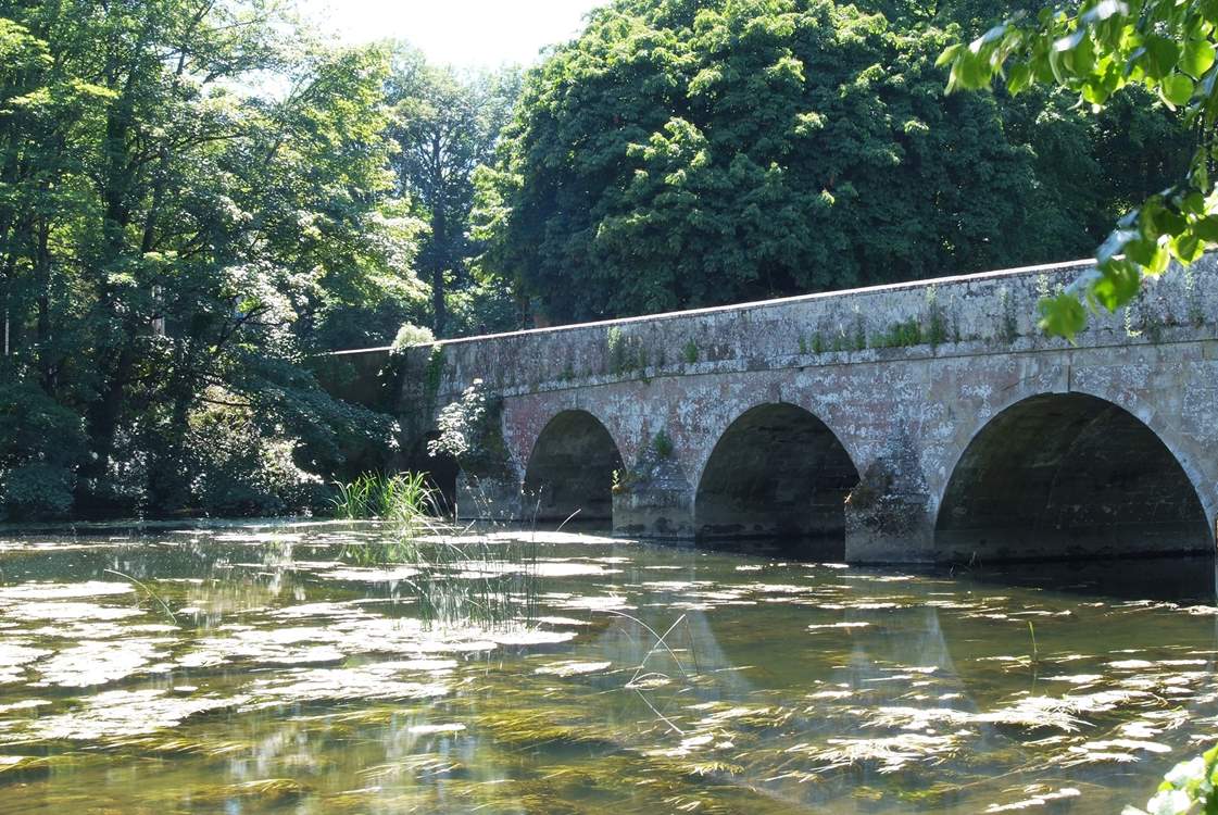 The bridge over the River Stour at Blandford Forum - lovely riverside park and walks.