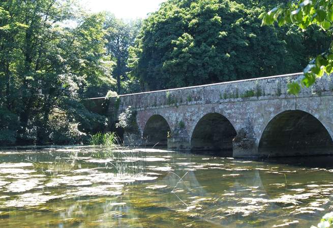 The bridge over the River Stour at Blandford Forum - lovely riverside park and walks.