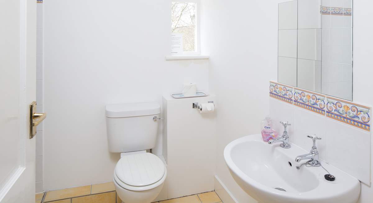 The family shower-room has a large shower to the left.