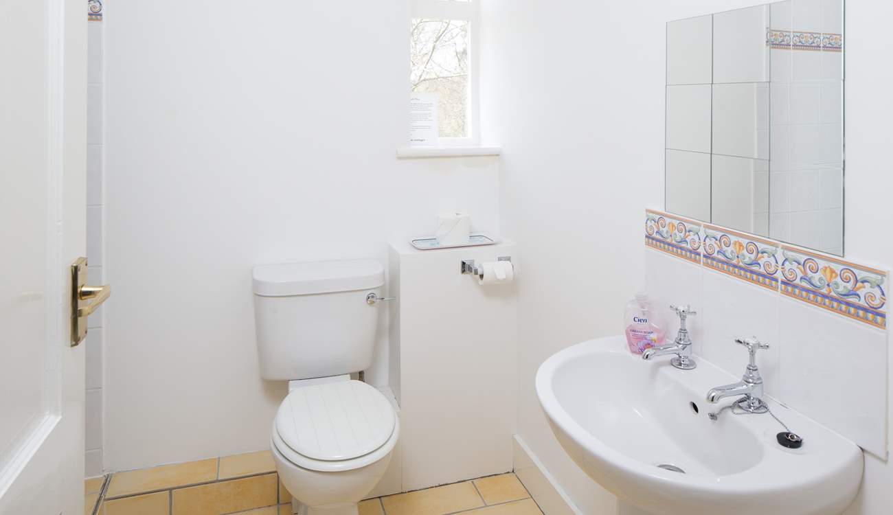 The family shower-room has a large shower to the left.