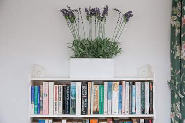 Plenty of reading material to enjoy.