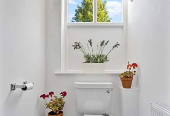 The all important downstairs WC.