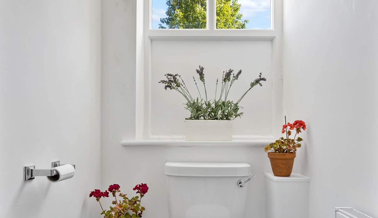 The all important downstairs WC.