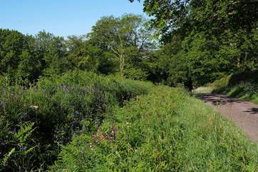 Little Leywood is so easy to get to - and to help to start your holiday the last half a mile is down a beautiful country lane.