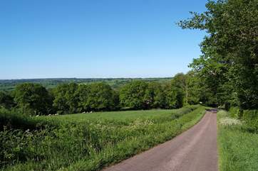 There are views across the Otter Valley from the top of the lane.