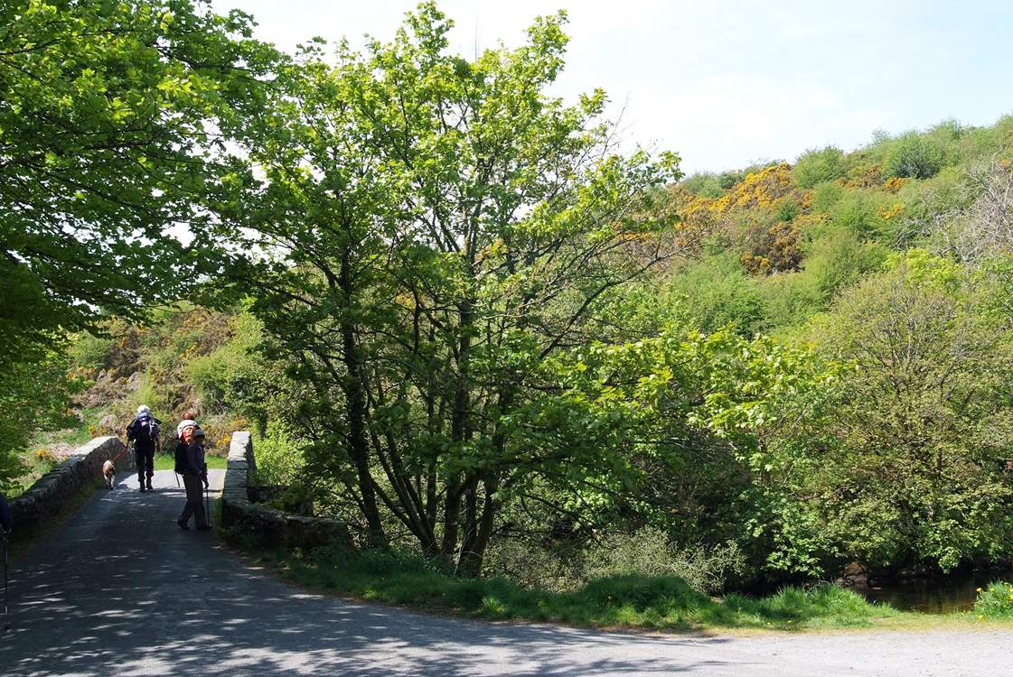 Walks abound.