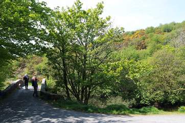 Walks abound.
