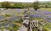 A spring view of nearby Dartmoor. - Thumbnail Image