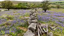 A spring view of nearby Dartmoor.