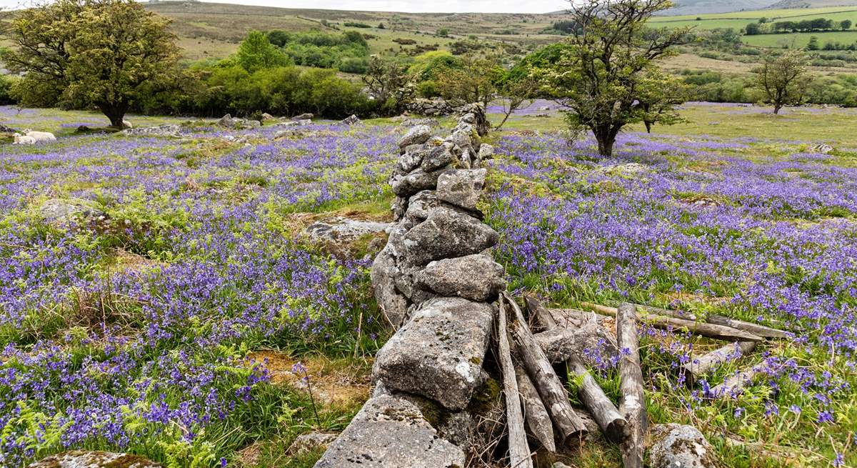 A spring view of nearby Dartmoor.