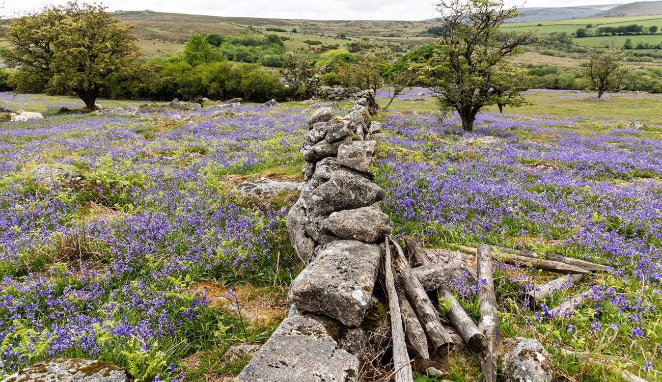 A spring view of nearby Dartmoor.